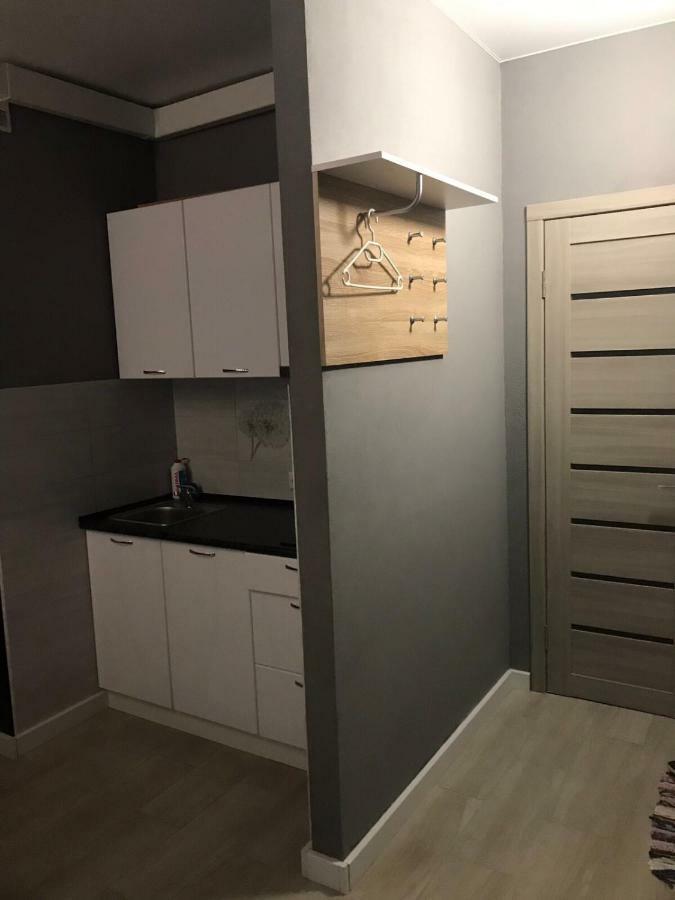 Смарт Квартира Apartman Krizsanyivka Kültér fotó